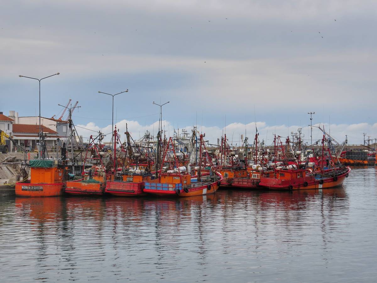Buscan preservar las lanchas amarillas descubiertas de la banquina de Mar del Plata