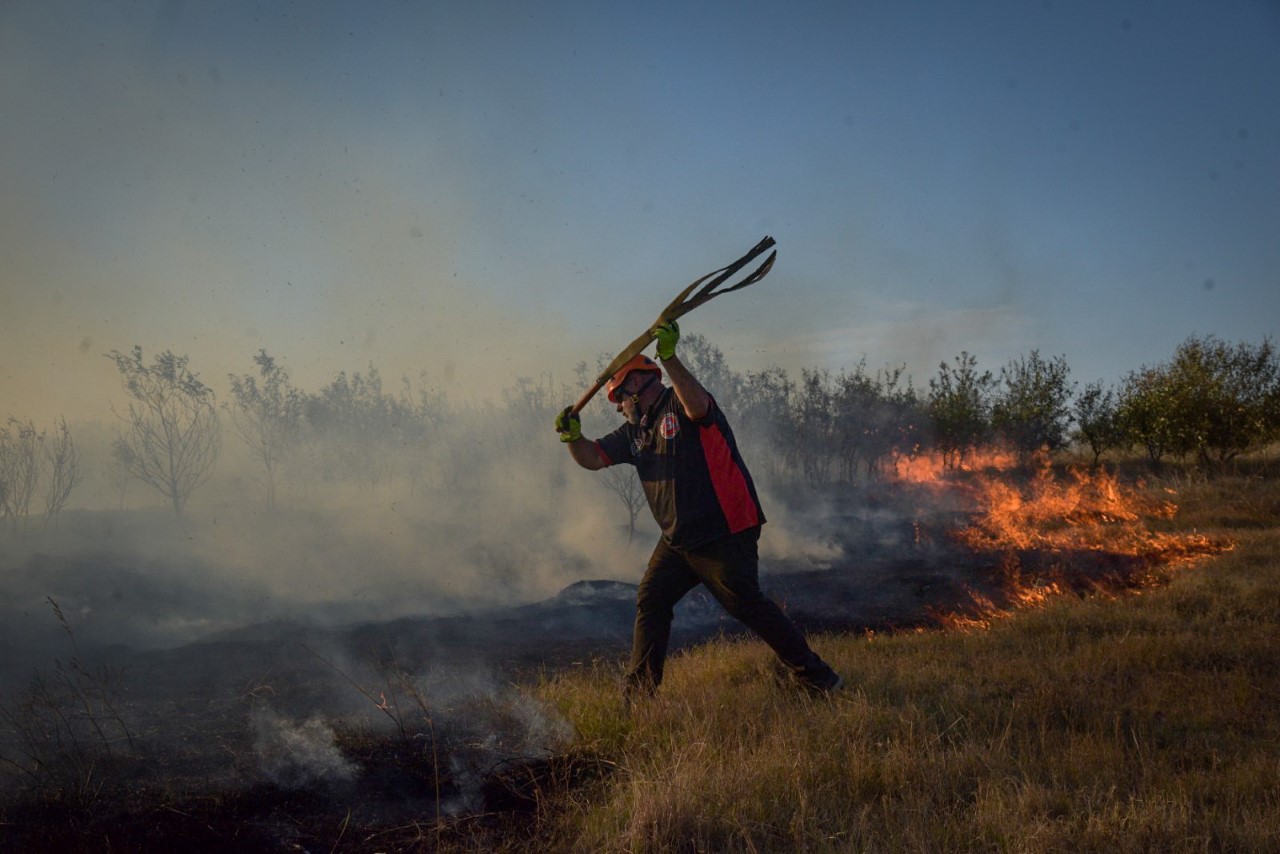 Alerta Mar del Plata y zona: probabilidades de generación de incendios forestales altas a muy altas
