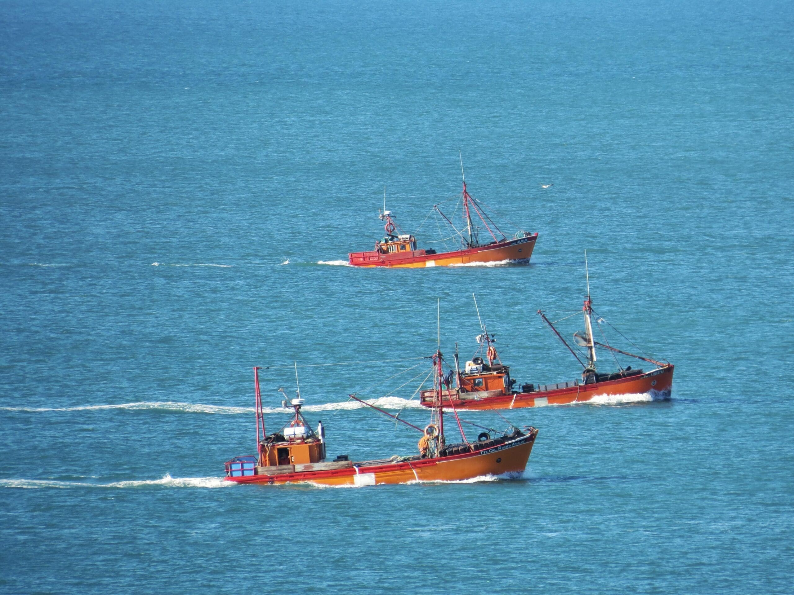 La Justicia prohíbe la pesca de arrastre en las primeras 3 millas náuticas