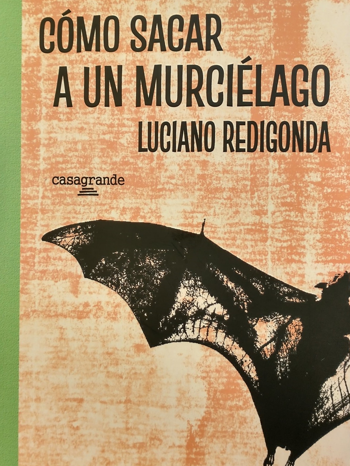 Novedad literaria: «Cómo sacar a un murciélago» del escritor y guionista Luciano Redigonda