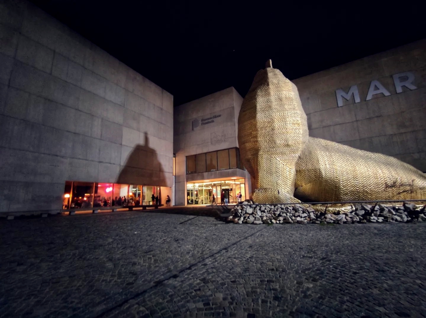 Inauguraron nuevas exposiciones en Museo MAR