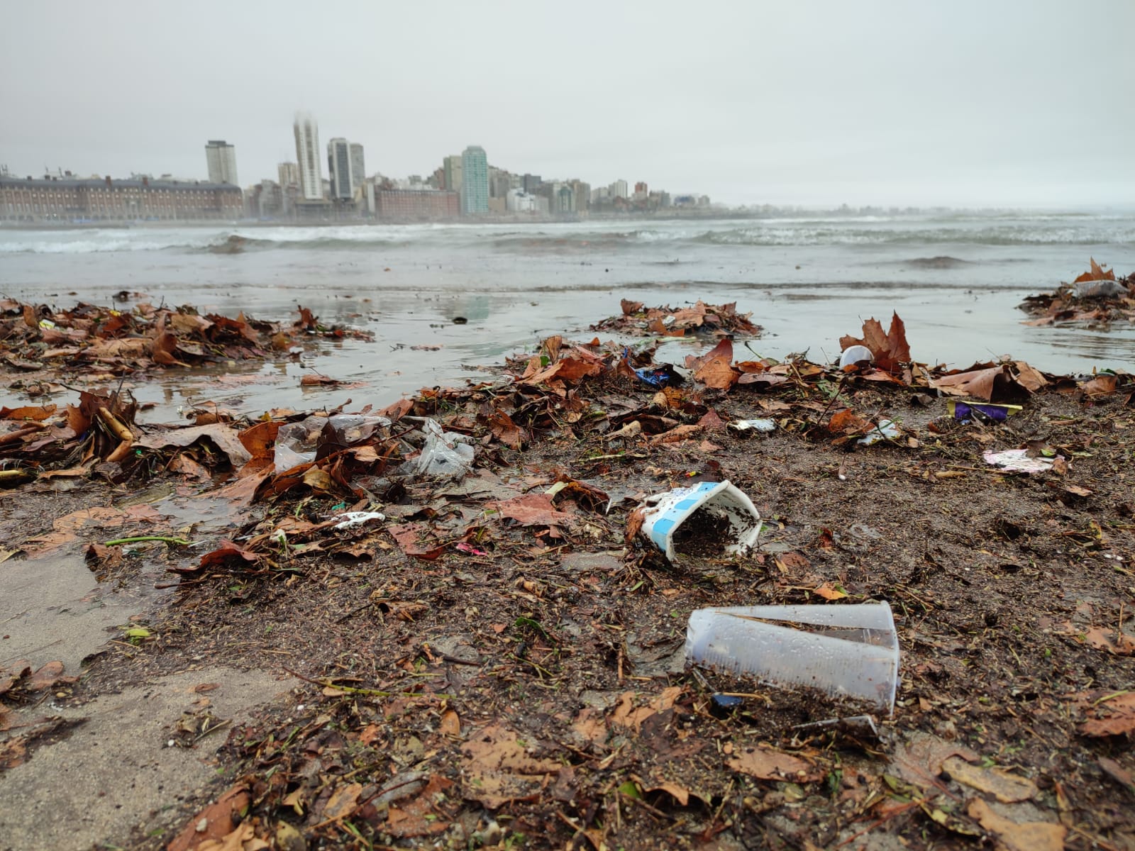 Mar del Plata tras la lluvia: los plásticos terminan en el mar