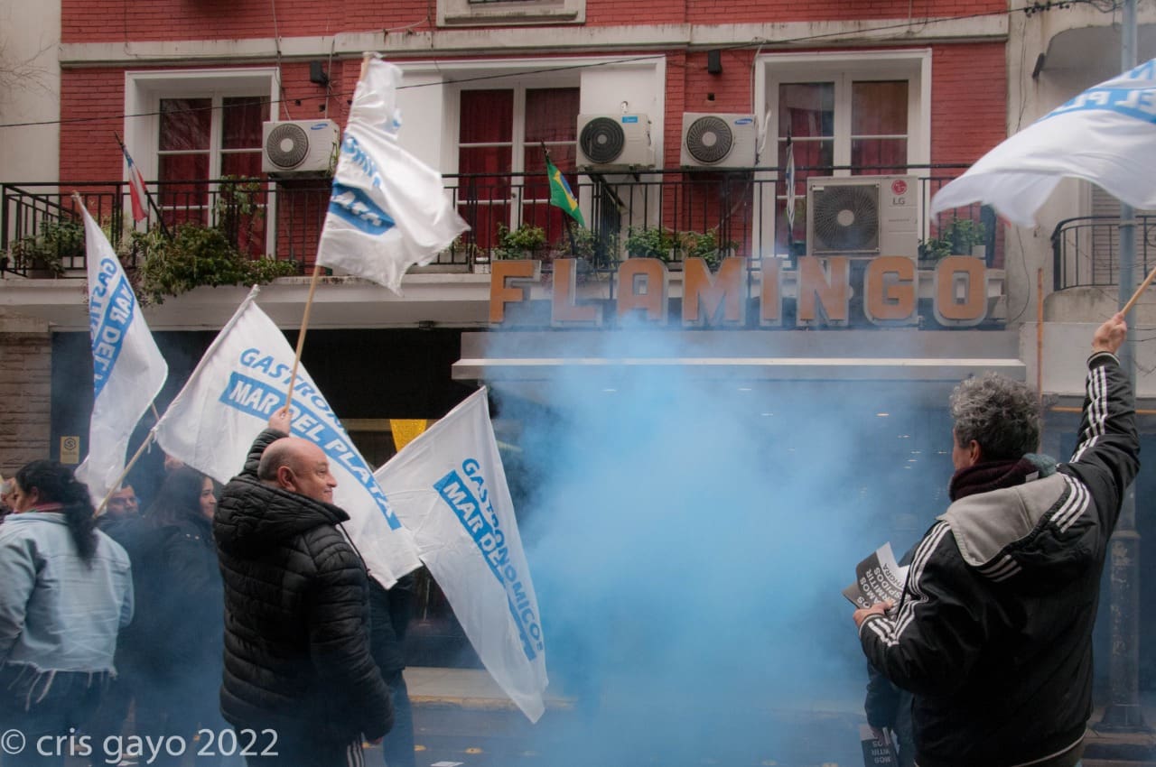 Protesta Flamingo 2 1