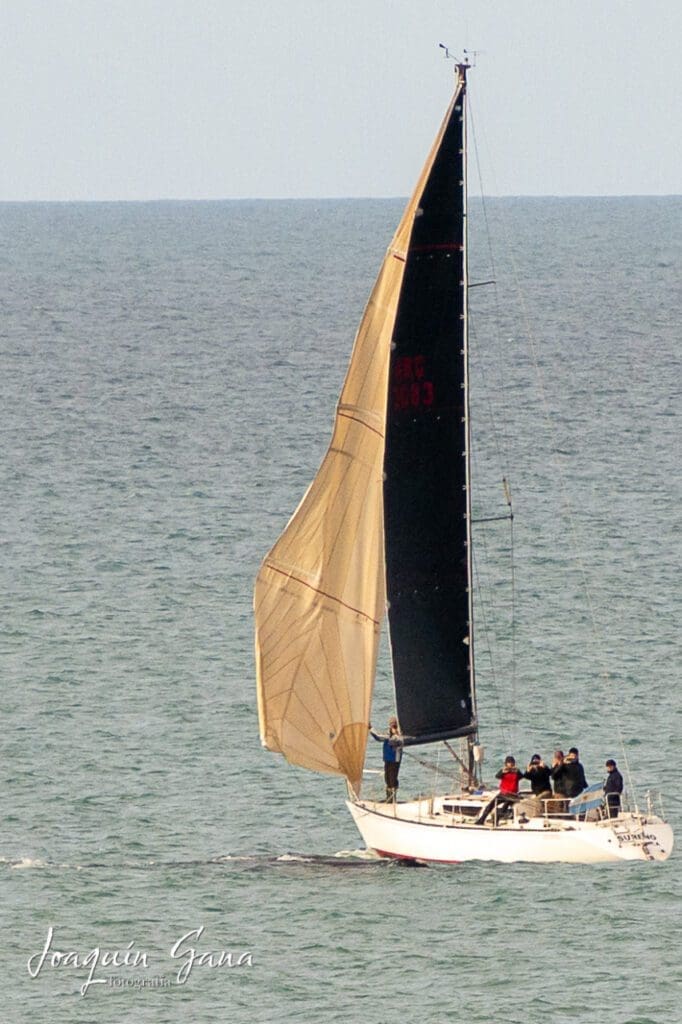 Alertan sobre el acoso a las ballenas desde embarcaciones privadas y comerciales en Mar del Plata 5 WhatsApp Image 2022 07 21 at 7.38.38 PM