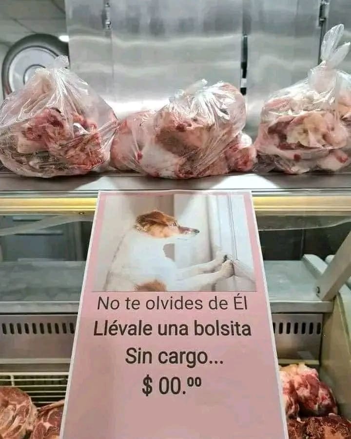 Perrito marplatense: "No te olvides de él" ❤ 3 1659347125939