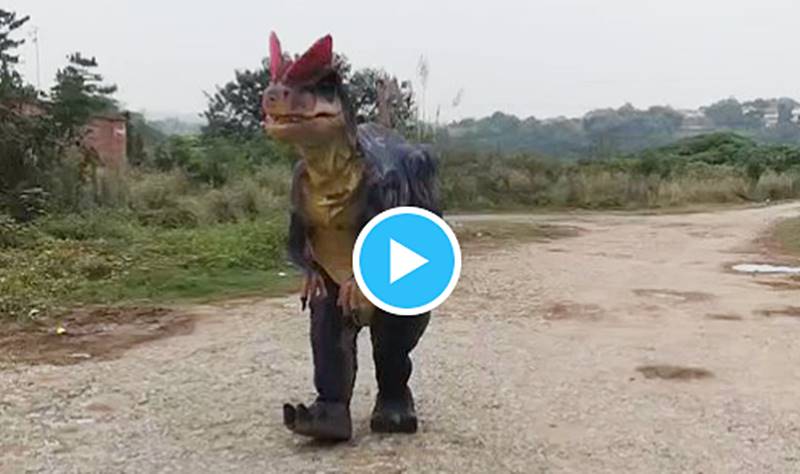 Susana tenía razón! Un Dinosaurio «vivo» se escapó camino a Mar del Plata