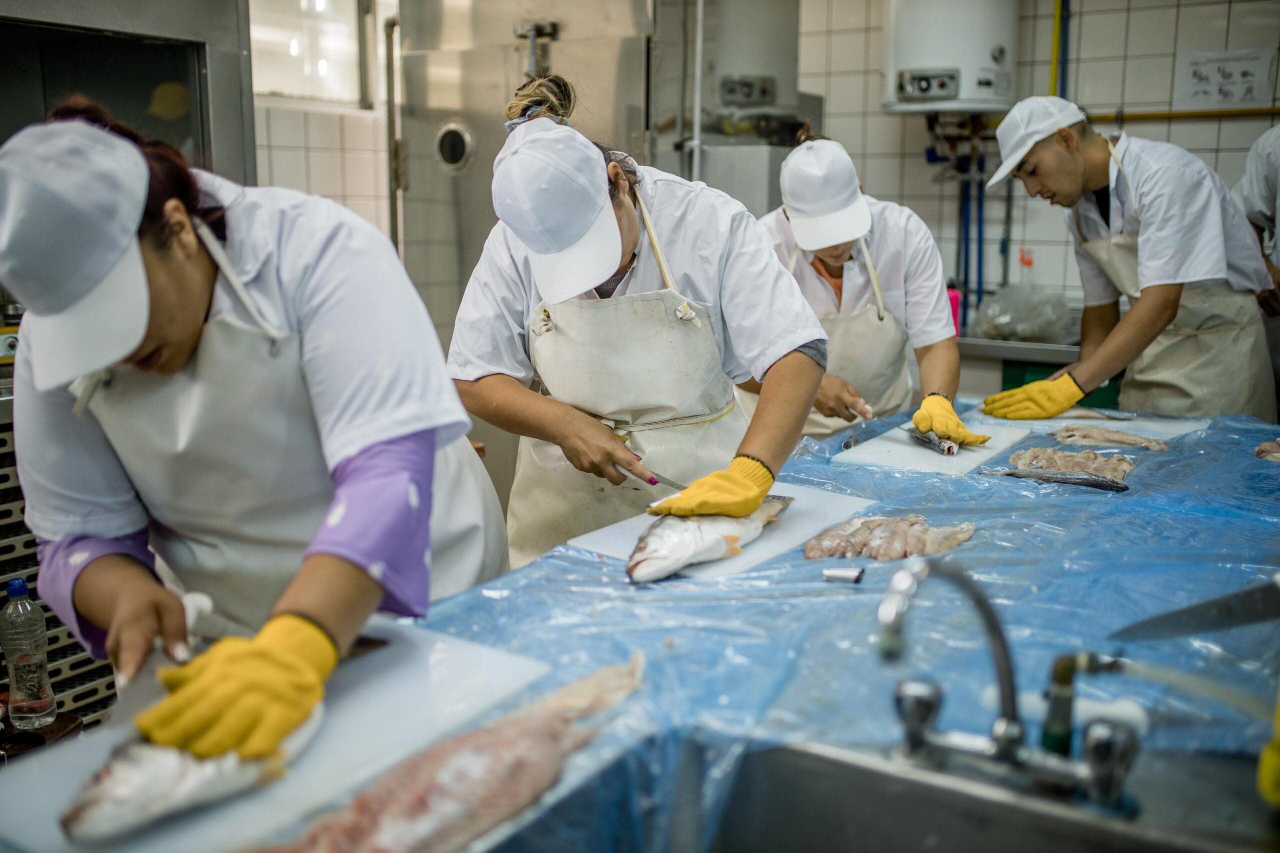 Escuela de pesca Procesamiento pescado 5