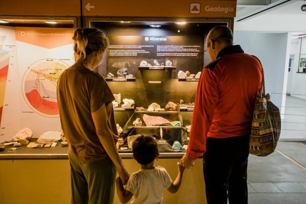 Construían una cochera y hallaron un gliptodonte en Mar del Plata 4 Foto MGP Museo Ciencias Naturales