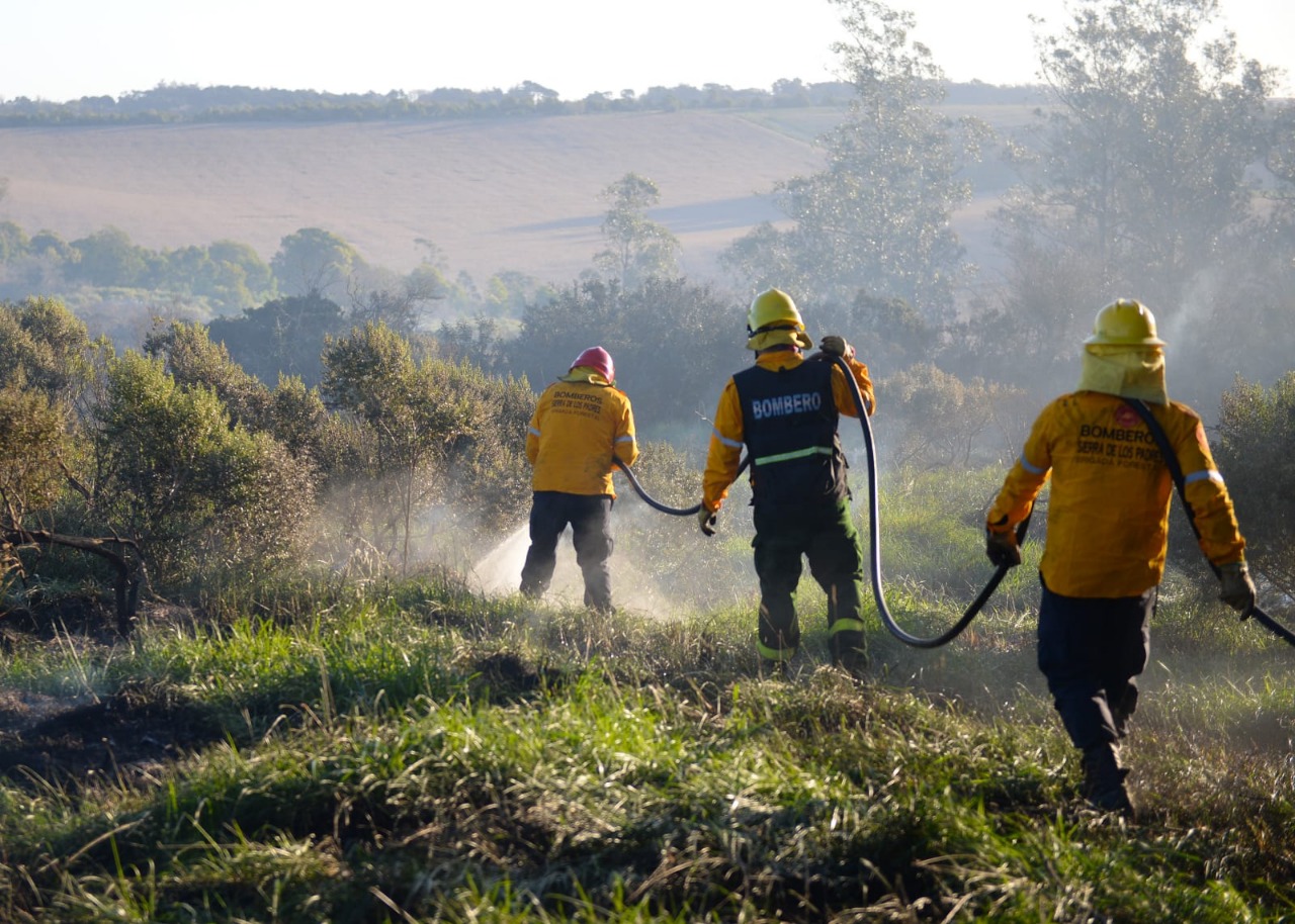 Riesgos de incendios «muy altos» en Mar del Plata y zona