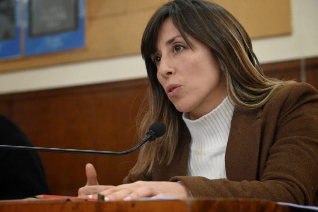 "La gestión de Montenegro supera el 382% de aumento en la tasa municipal" 3 sivori