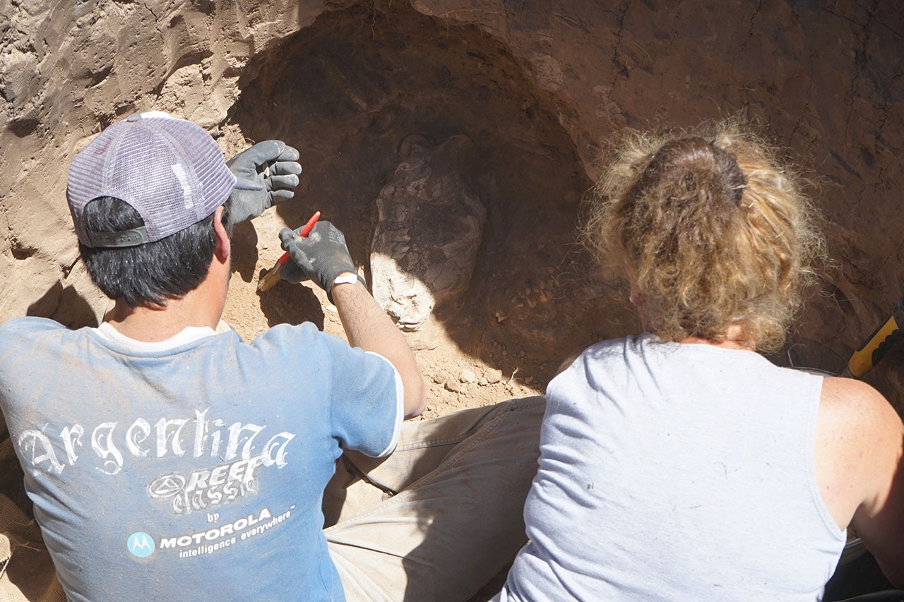 Se encontró en la zona un cráneo de un mamífero que habría vivido en la Era de Hielo