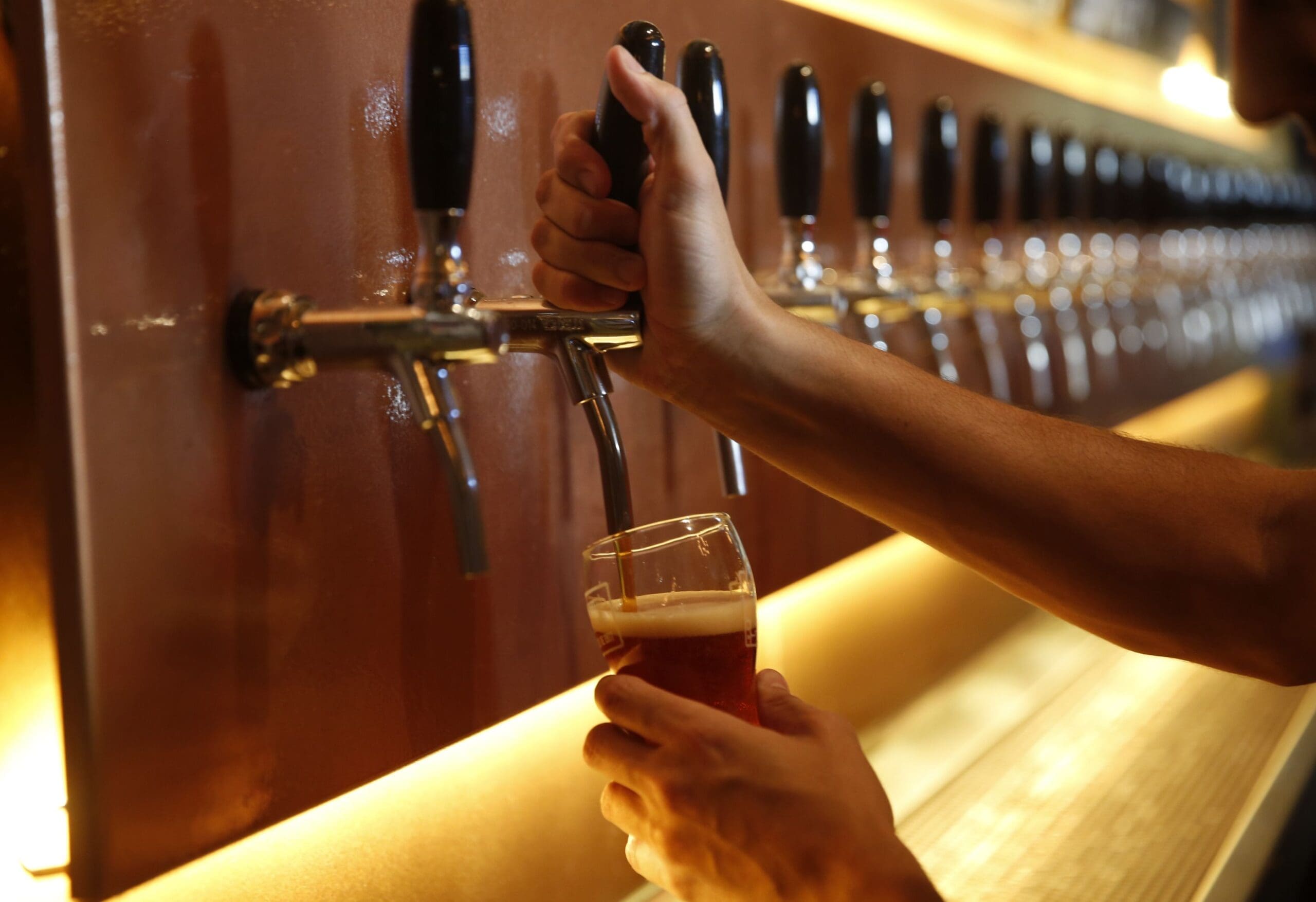 cerveza scaled