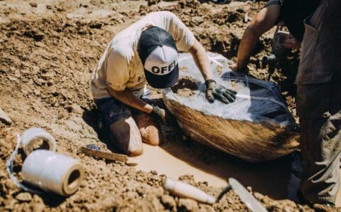 Restos de Gliptodontes de 3 millones de años de antigüedad fueron hallados en Chapadmalal