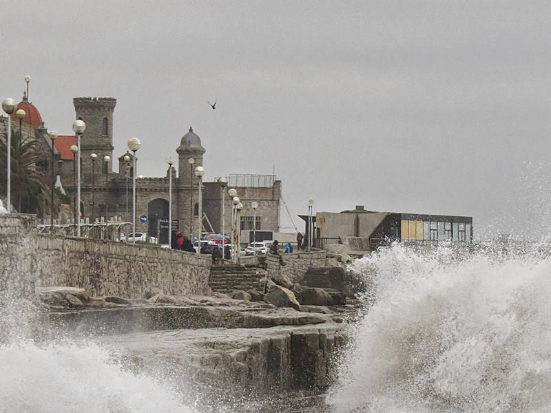 Alerta amarillo en Mar del Plata por fuertes vientos: consejos para mantenerse a salvo