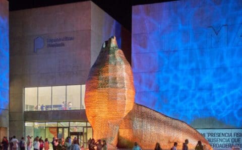 Noche de los Museos en Mar del Plata: Programación de Museo MAR