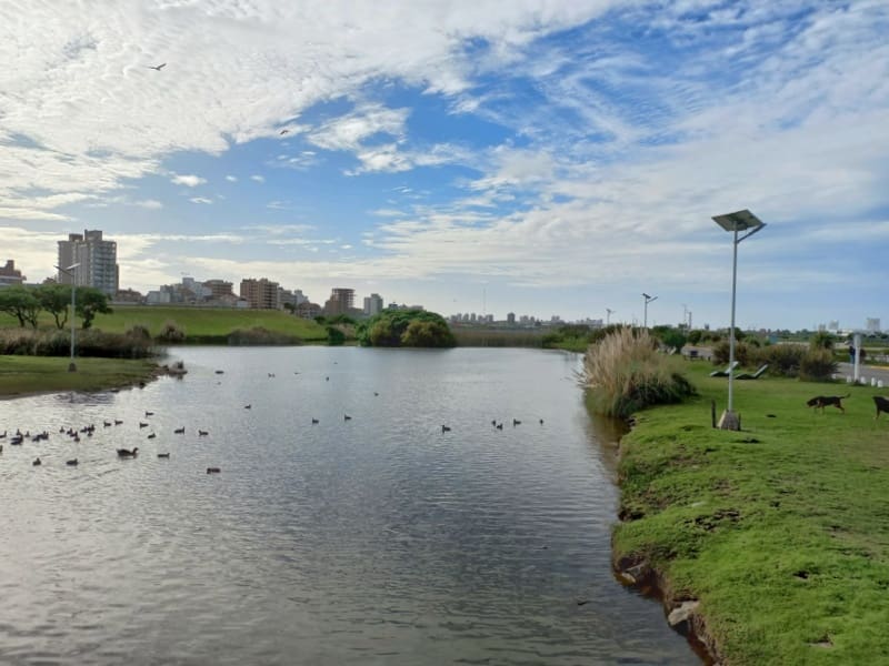 Parque Ambiental 02