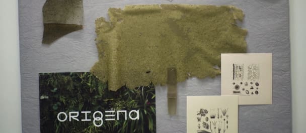 origena