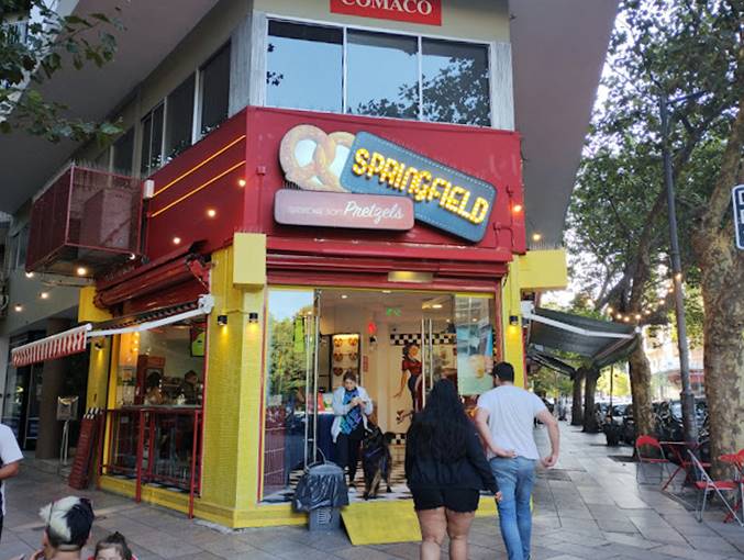 springfield2