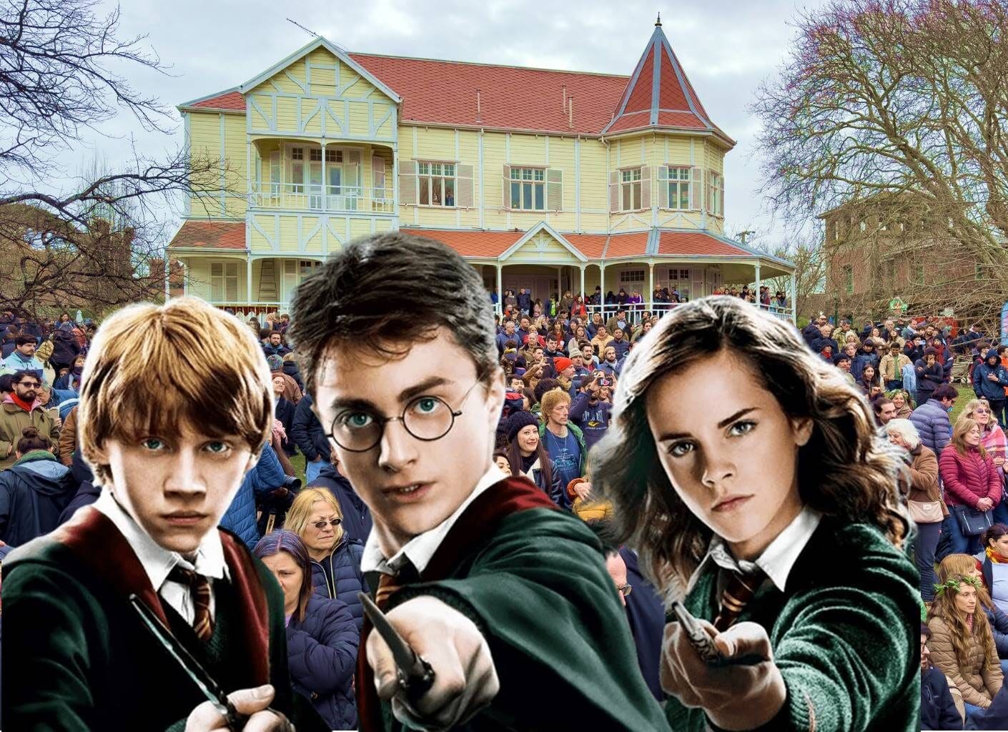 harry e1695246034932