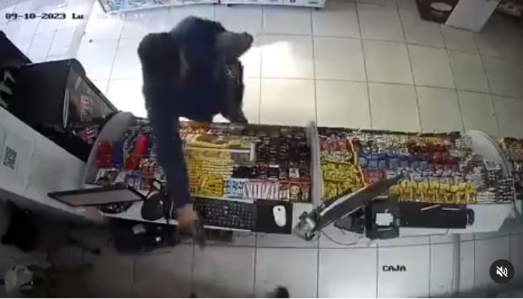 delincuente