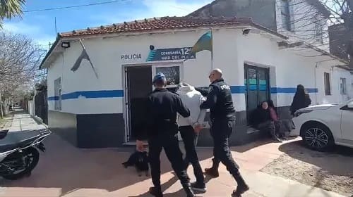 detenido