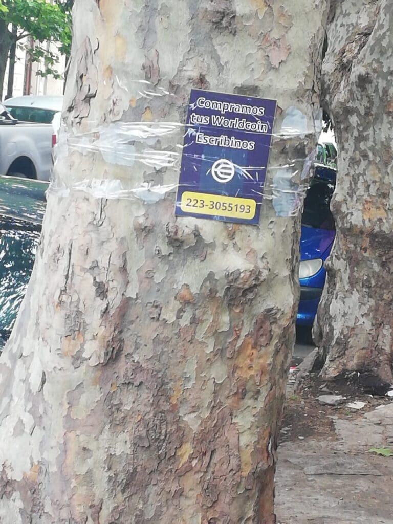 ¡Revuelo en Mar del Plata! Empresa de criptomonedas escanea el iris a cambio de 30 dólares: largas filas 3 WhatsApp Image 2023 11 29 at 1.56.41 PM