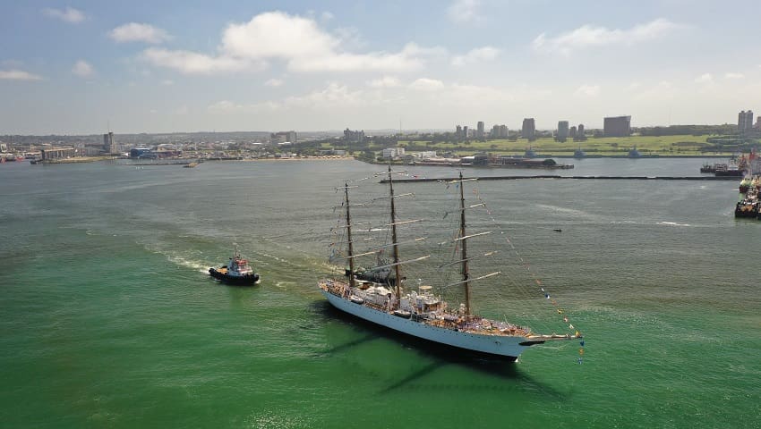 ara libertad