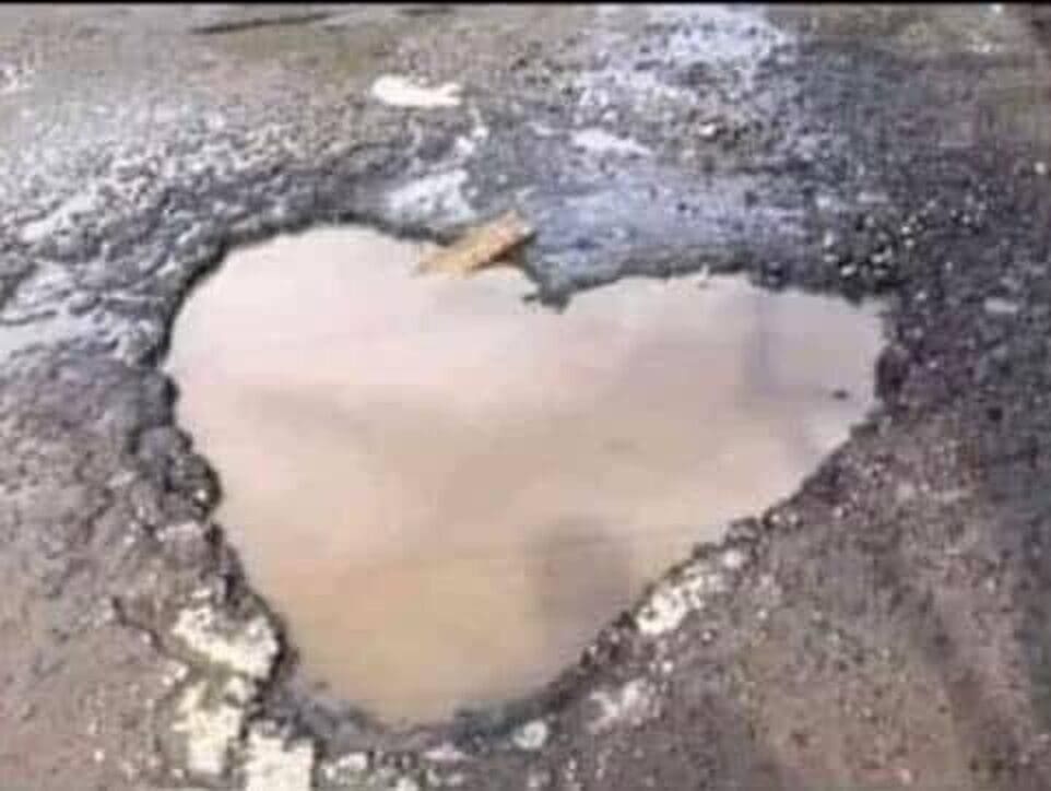 bache