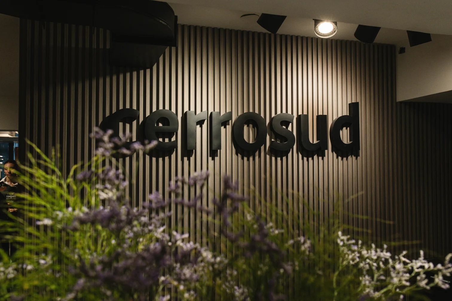 cerrosud DSC 6160