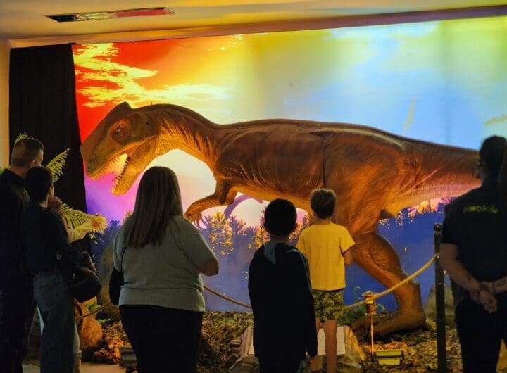 dino