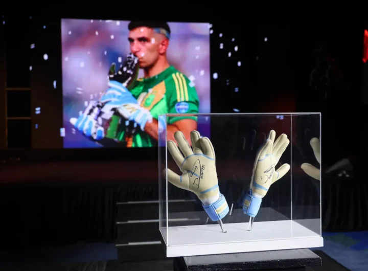 Guantes del Dibu