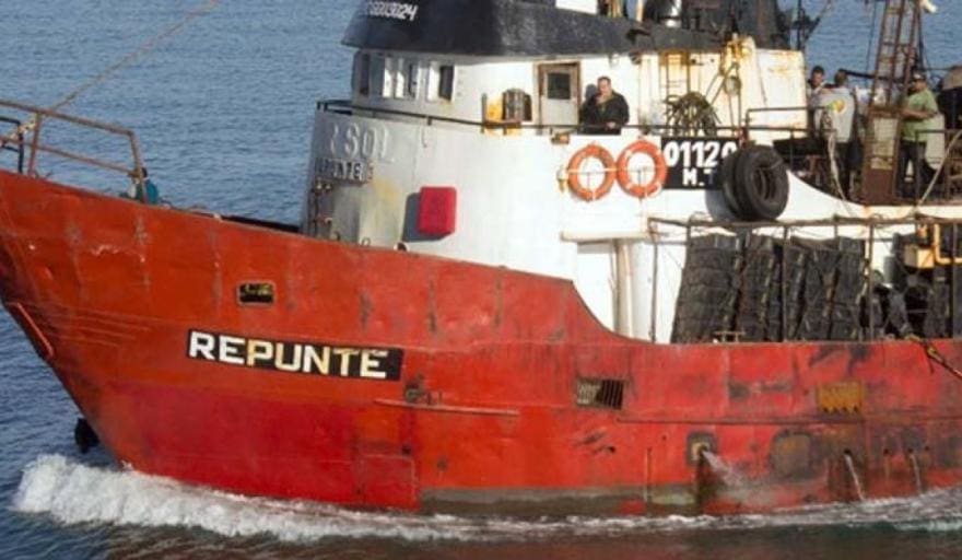repunte