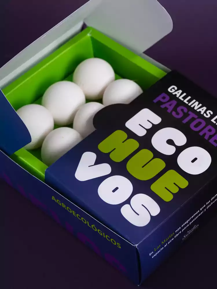 Del Estante al Corazón: El Rol Emocional del Packaging en la Decisión de Compra 5 DSC05922