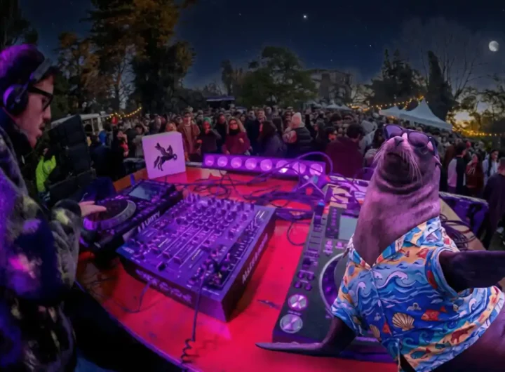 rave editado