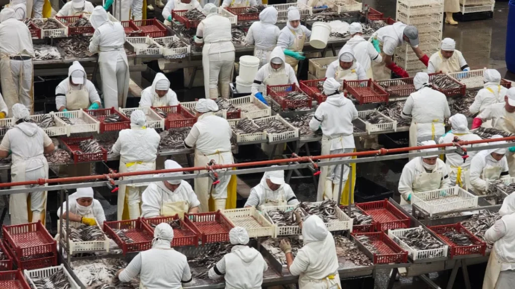 Marplatenses de Exportación: La Sinergia que Lleva el Mar Argentino a las Góndolas del Mundo 7 WhatsApp Image 2026 09 30 at 8.44.54 AM editado