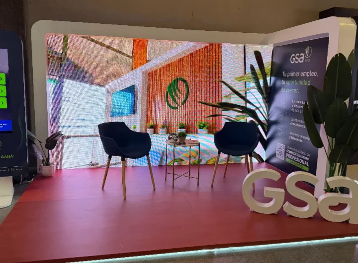 gsa1 1