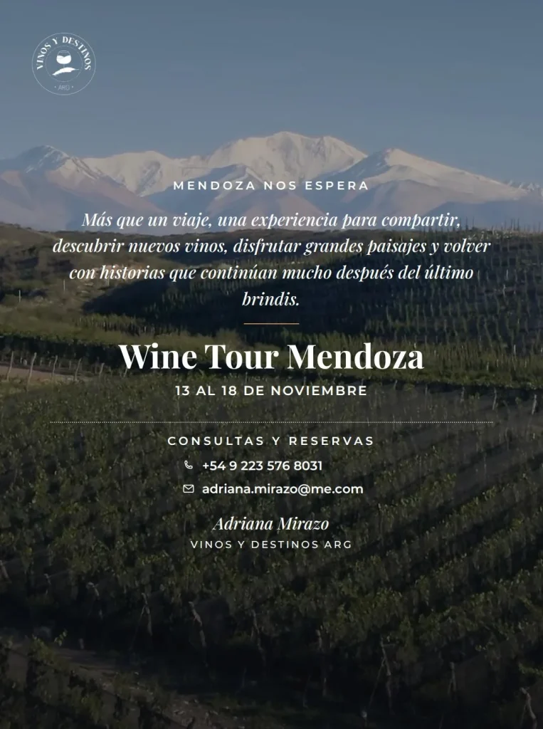 Turismo enológico y gastronomía: Una propuesta exclusiva para recorrer Mendoza entre viñedos y bodegas 3 img17 editado